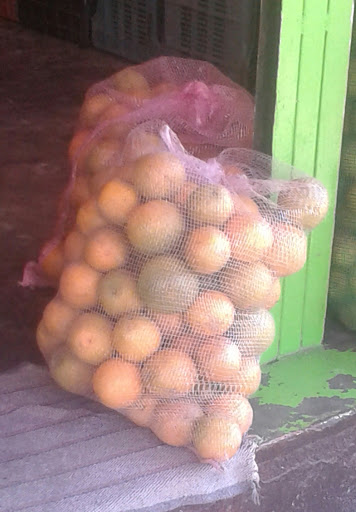 Bodega De Naranjas SAN GREGORIO - Thumbnail