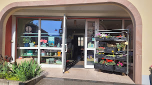 Photo n°1 de La Boutique Solidaire de Saâles - Emmaüs Mundo à Saales (Association bénévole)