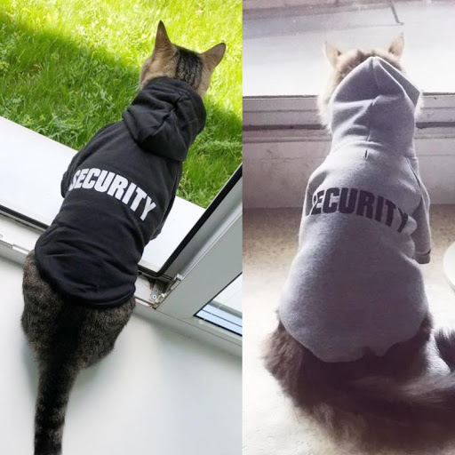 Petprime.ca Gallery - Canada