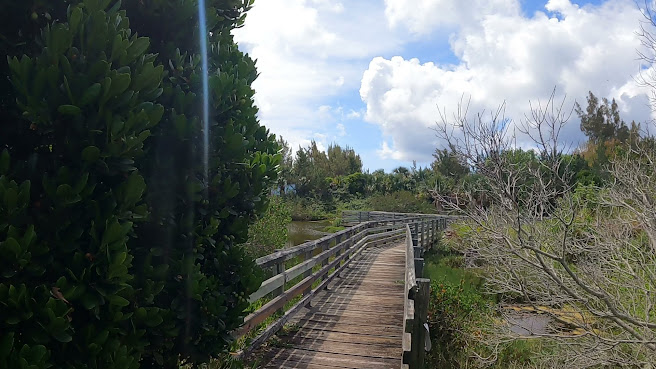 Cooper’s Island Nature Reserve by null