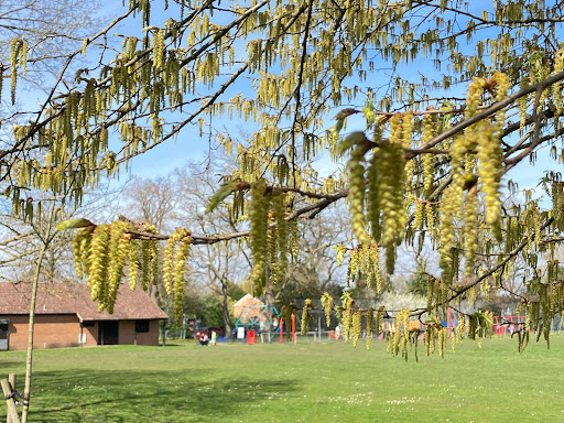 Wheatsheaf Recreation Ground - Thumbnail