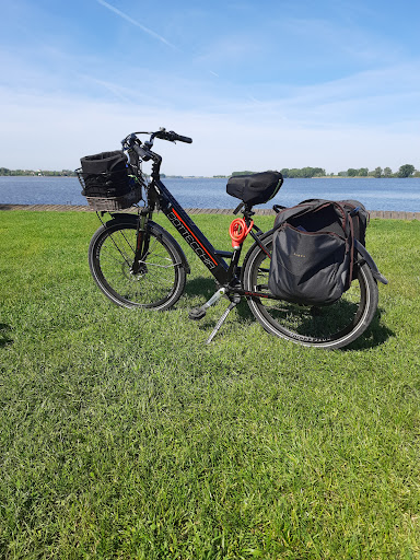 Elettromobility - Thumbnail