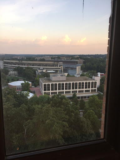 Main Library - Visual