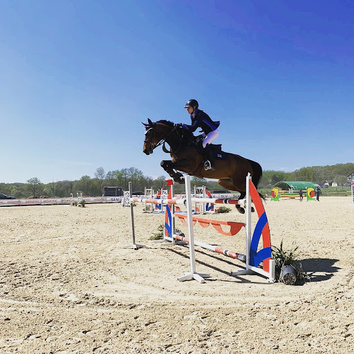 Photo de Résidence Equine du Domaine du Verseau à Sagy (71580)