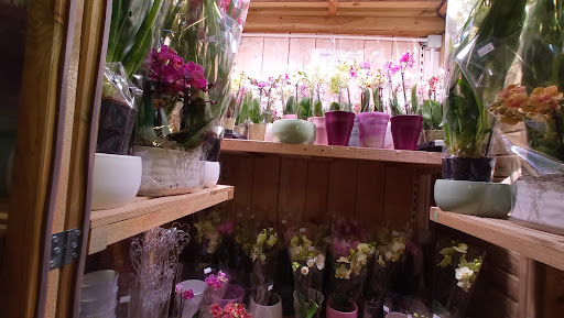 Ross Garden Store - Thumbnail