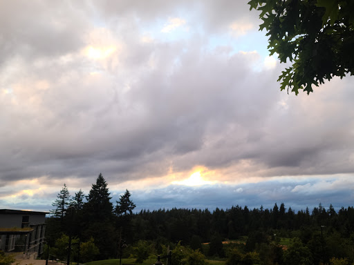 Sammamish Commons - Thumbnail