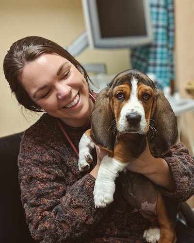 Bozeman Pet Hospital