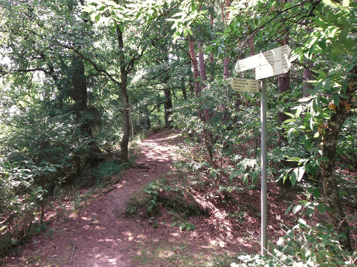 Schilderstandort Galgenberg