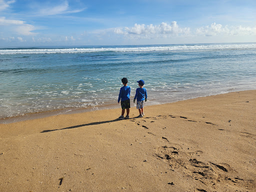 Playa Chatarra Gallery - United States