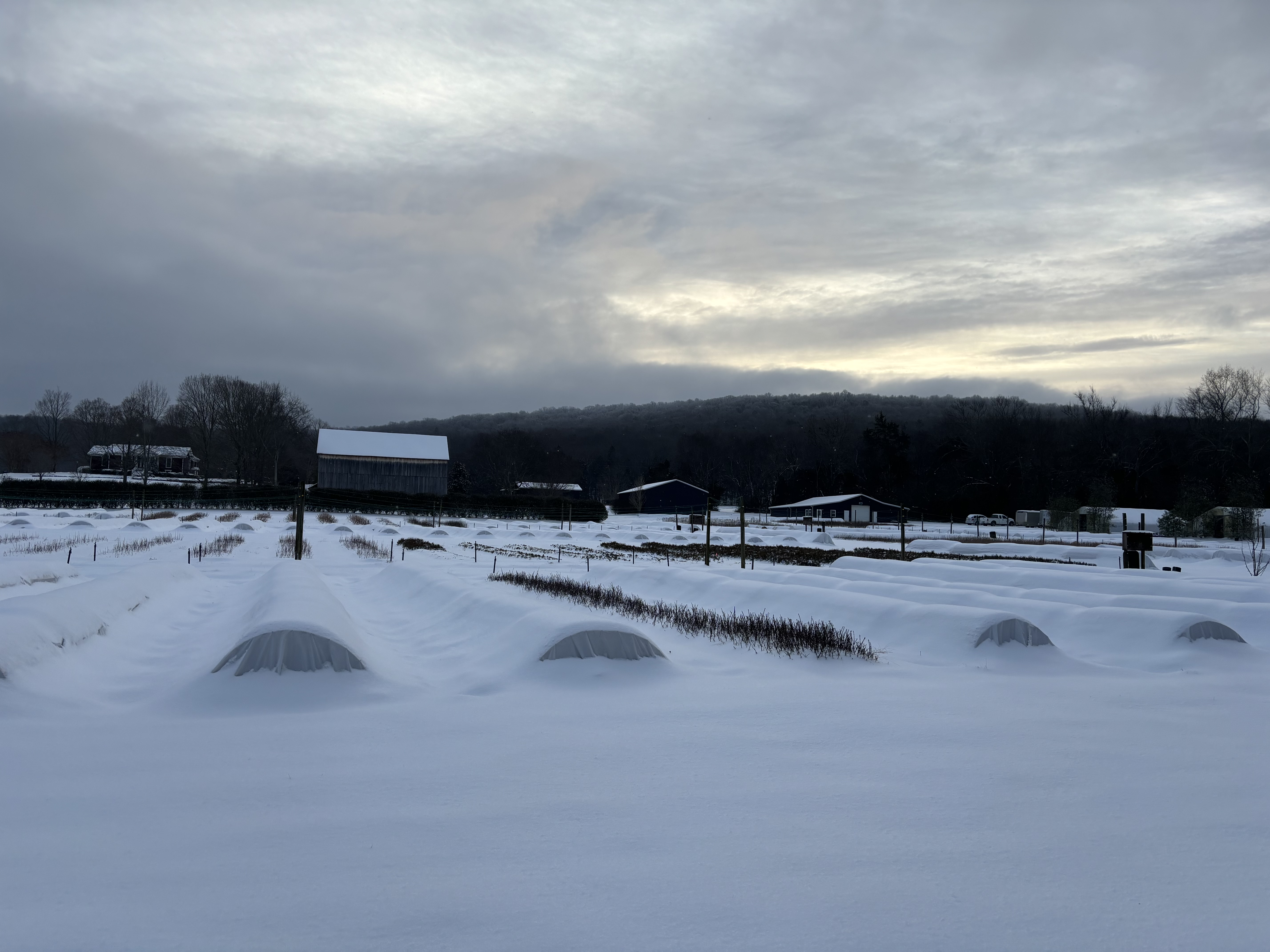 Herd Farms Nursery