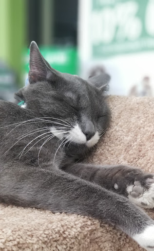 Pet Supplies Plus Farmington Hills