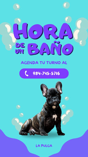 La Pulga