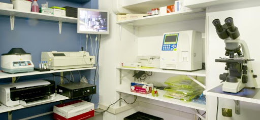 Veterinary Clinic Turro - Thumbnail
