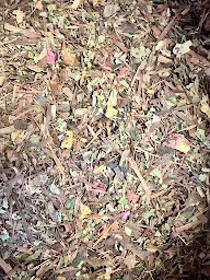 Photo n°12 de Ty Delicatessen à Plouvorn (Magasin d'épices)