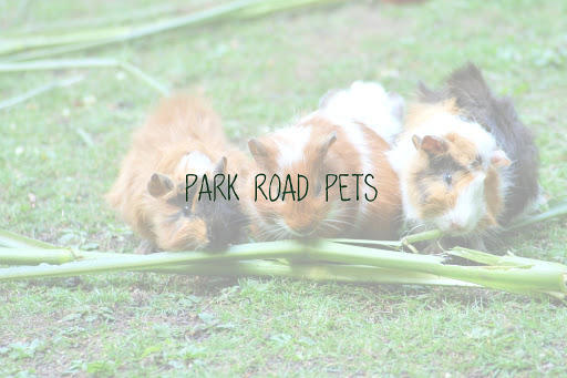 Park Road Pets - Thumbnail