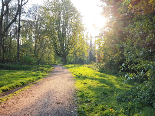 Hölter Park - Thumbnail