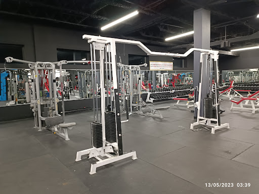 Pro Gym