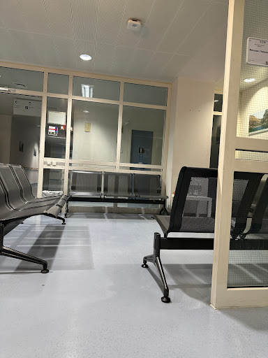 Hämatologie - Visual