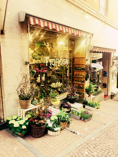 FIOROSA - Visual