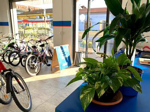 Bike e-Bike - Thumbnail