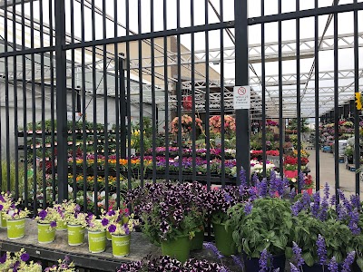 Walmart Garden Center