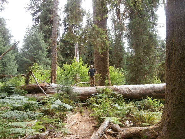 Hoh Rain Forest Visitor Center