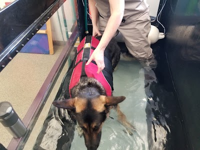 Healing Paws Veterinary Rehabilitation