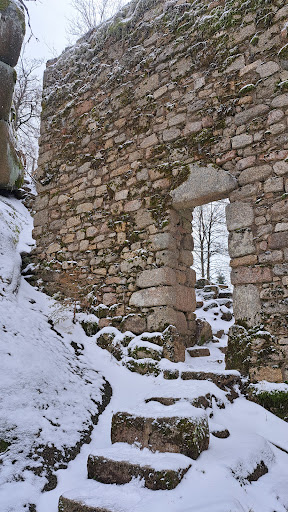 Waldsteinwichtel - Visual