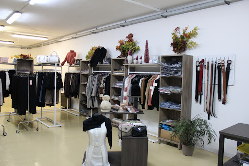 ShoppaMI - Visual