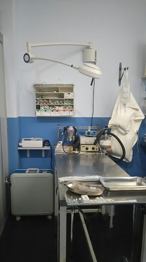Centro Veterinario Animalis Gallery - Spain