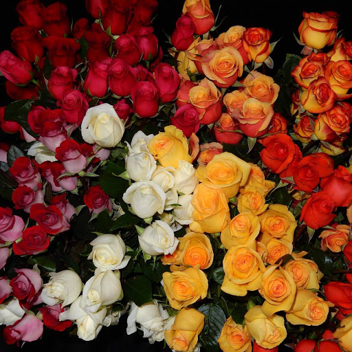 Creations By Barbara Florist & Gifts - Thumbnail