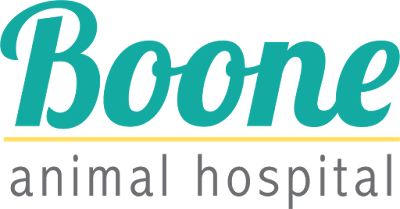 VCA Boone Animal Hospital