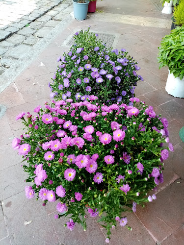 Κομνηνών, Βασ. Ηρακλειου, Θεσσαλονίκη 546 24