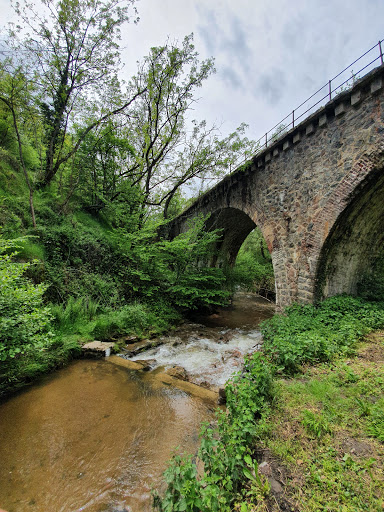 Ancienne voie ferrée Lyon /monbrison Viaduc de Bellgarde en forêt