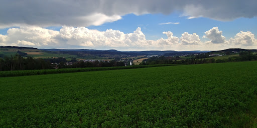 Wutöschingen