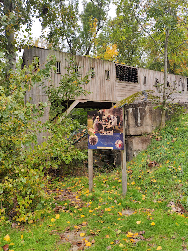 Speel- en bunkerpark Groede Podium - Thumbnail