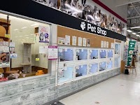 イオン佐世保白岳店ペットコーナー