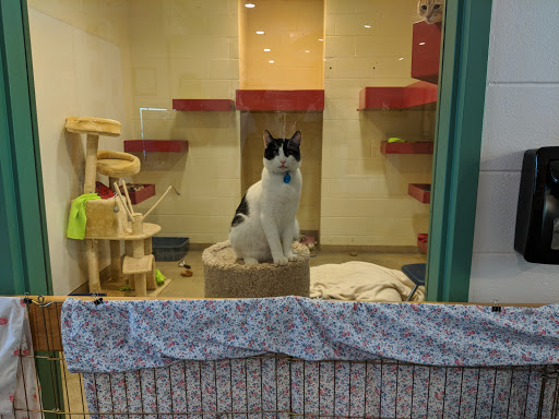 Humane Society Of Chittenden County Gallery - United States