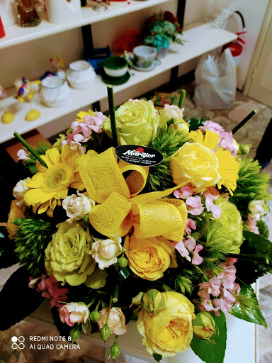 Marifior - Visual