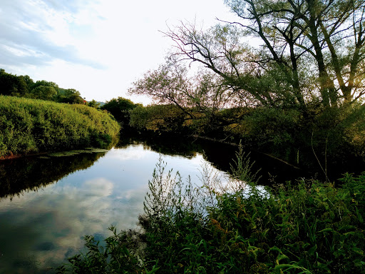 Rivermouth Schwarzbach Blies - Thumbnail