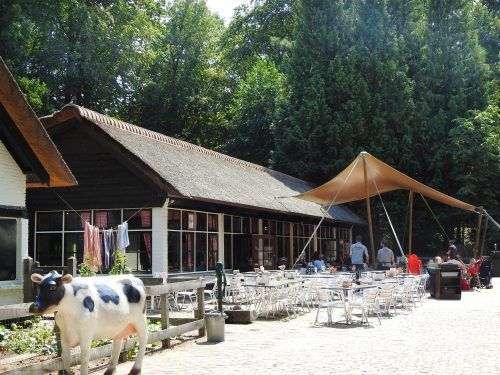 site_photo1