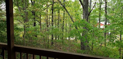 Hollow Log Cabins