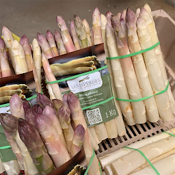 Photo n°17 de Colibry's : Agence de Communication dans les Ardennes à Saint-Germainmont (Agence événementielle)