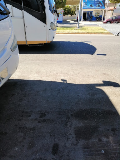 INTERBUS DE SINALOA (Guasave) - Thumbnail