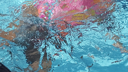 Bluffton Pool - Visual