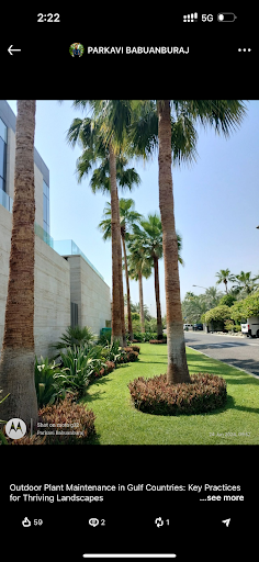 Gallery image 16