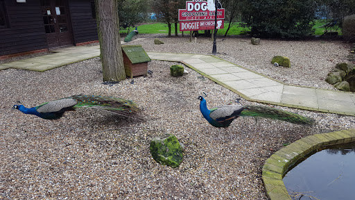 Orchard Kennels - Thumbnail