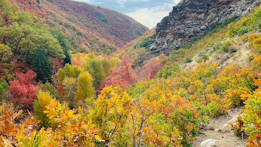 Holbrook Trailhead - Thumbnail