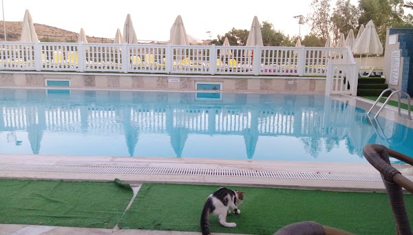 Отель Bodrum Eken Resort Hotel