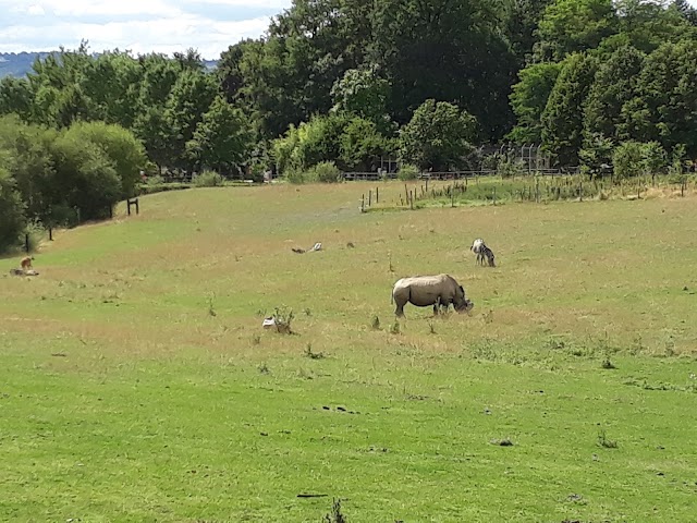 Parc Zoo du Reynou